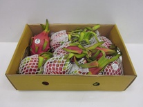 Pitahaya 10 st