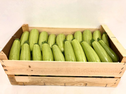 Courgette Wit 11kg