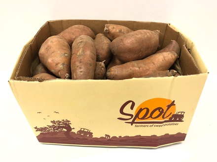 Zoete Aardappelen 18kg