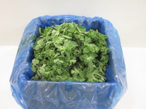 Oregano 1kg