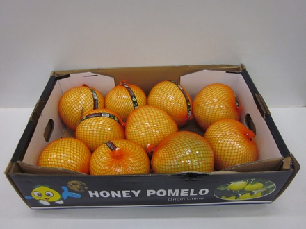 Honey Pomelo 10st 11kg