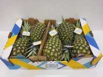 Ananas Sweet CR 5st.