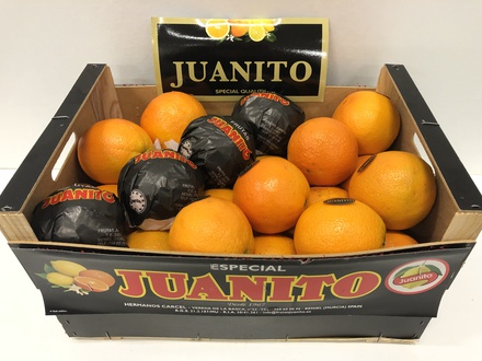 Sinasappel Navel Powel 36st 15kg Juanito