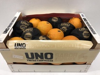 Sinaasappel Navel Late UNO 36st 15kg