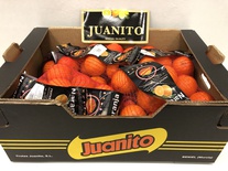 Sinaasappel Verpakt 10x2kg Juanito
