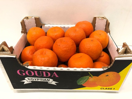 Mandarijn Minneola 20st 7,5kg