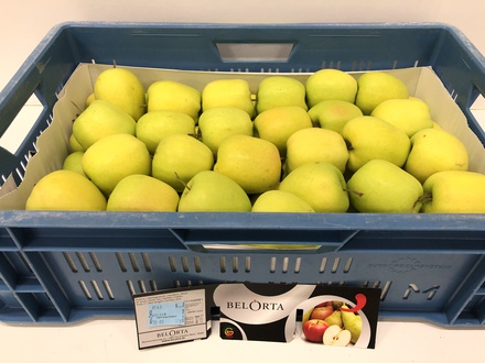 Golden Delicious 11kg 70+