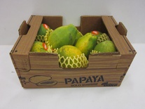 Papaya 8 stuk