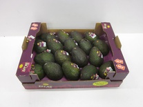 Avocado Ready to eat 18 stuk