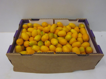 Kumquats 2kg