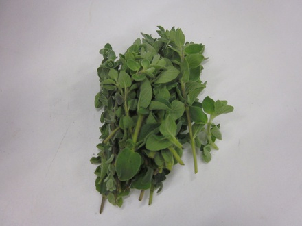 Oregano 1kg