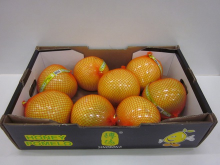 Honey Pomelo 8st 11kg