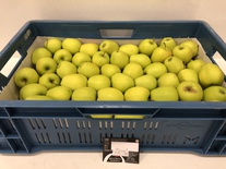 Golden Delicious 11kg 60+